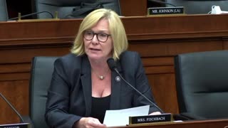 Rep. Michelle Fischbach on Judiciary Committee Offering Amendment