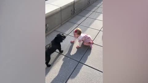 Cute Babies Playing With Dogs Compilation | Funny Baby And Pets