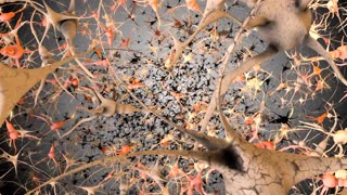 New Target for Treating Degenerative Diseases Like Alzheimer’s and Parkinson’s