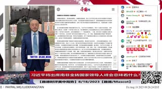 习近平将出席南非金砖国家领导人峰会意味着什么？