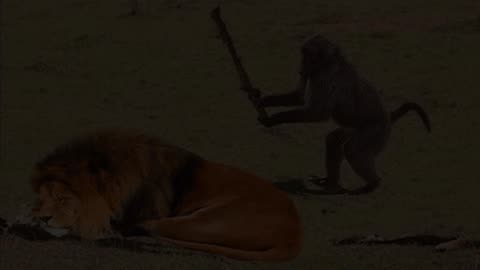 Monkey playing with lions