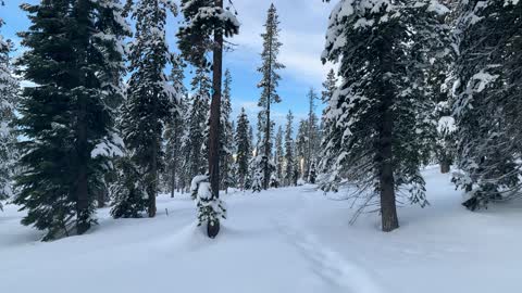 Getting Started Panorama – Central Oregon – Vista Butte Sno-Park – 4K