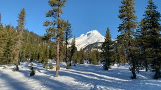 Bright Blue Sky – White River West Sno Park – Mount Hood – Oregon – 4K