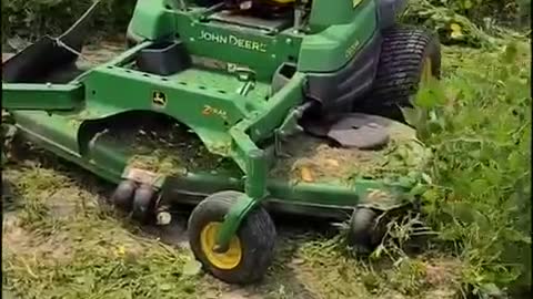 US government paying farmers to destroy their crops (2021)