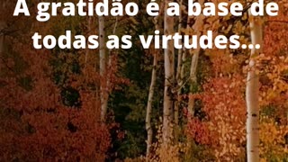 Gratidão