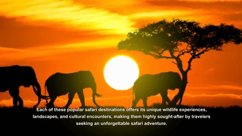 Best Safari destinations