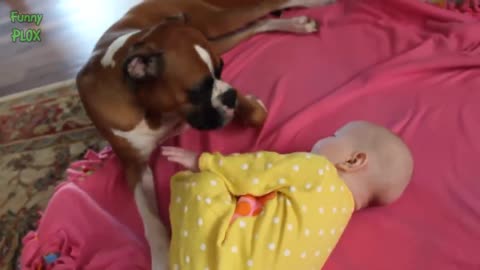 Funny Dogs Protecting Babies Compilation