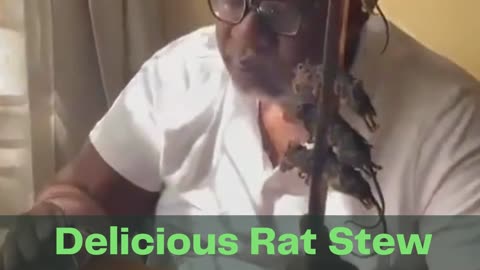 Delicious Rat Stew | Funny Videos