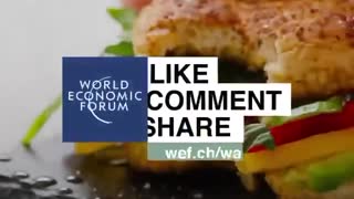 The WEF food and insects lie