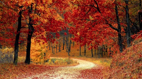 Autumn Sky Meditation