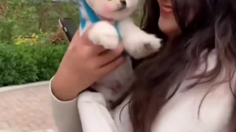 Let's walk with Cute cat and 🐈😺and Dog 🐕