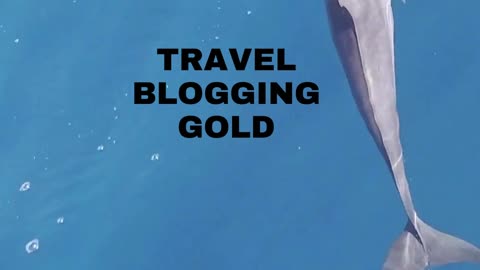 "Ready to maximize your travel blogging earnings in 2024? Click the link below to start now!"