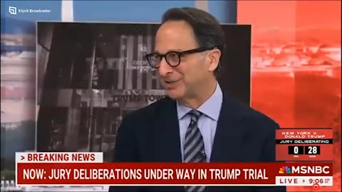 ABSURD: MSNBC Guest Goes On Disgusting Rant About Corrupt Judge