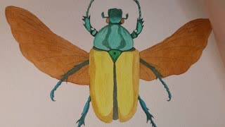 Beetle in Watercolor