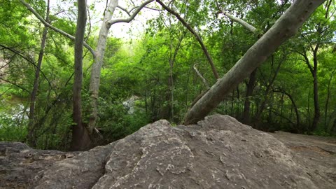 4. Montezuma Well Underwater Wonders Of The National Parks