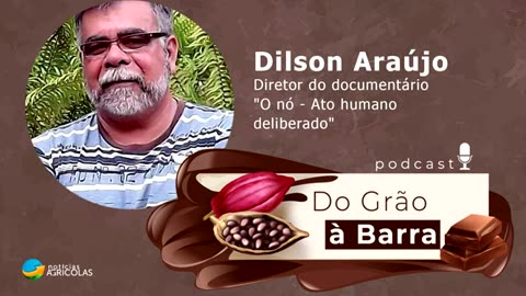 Vassoura-de-bruxa, um nó do setor de cacau que ainda precisa ser desatado