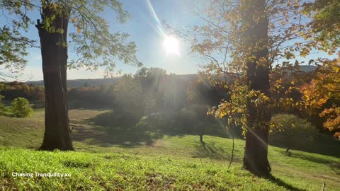 Peaceful Green Grounds