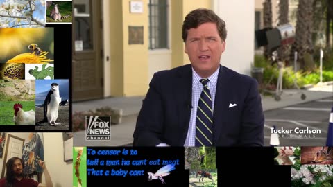 Tucker Carlson Tonight 4/14/2023 Watchalong pt 2