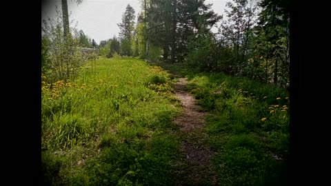 Sinfoninen runoelma Elämän sinfonia - Timo Tynkkynen