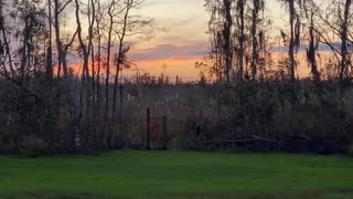 Grass on the range