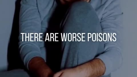 Daily Quotes 02 - Worse Poisons