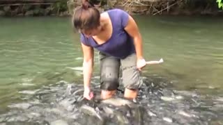 School of fish swarm woman during fish spa in Malaysia