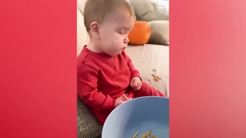 Hilarious Babies and Cute Moments
