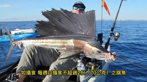 吃魚當心「汞」中毒 避免「食物鏈頂端大魚」