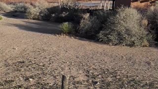 Coronado Historical Site in New Mexico and the Sandia Mountains. 1/19/23