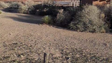 Coronado Historical Site in New Mexico and the Sandia Mountains. 1/19/23