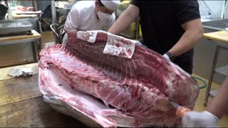 Big Tuna Fish Cutting and Cooking