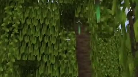 Minecraft mangrove