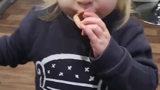 Scottish 2 Year Old Loves Prawns/Shrimp