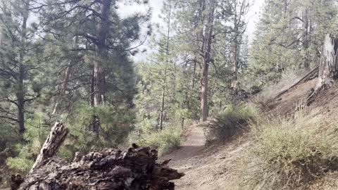 Information Placard Destroyed by Vandals – Deschutes River Trail – Central Oregon – 4K