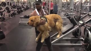 Squat your dog challenge