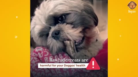 Say goodbye to rawhide & hello to Healthy Hard Bar treats!