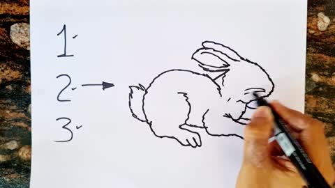 123 turns into Rabbit Drawing // Easy Drawing