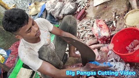 Big Pangas Fish Fast Cutting By Expert Cutter In Fish Market