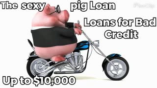 Loans for people with Bad Credit / Personal loan up to $10,000..