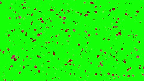 Animated rose petals falling on green background