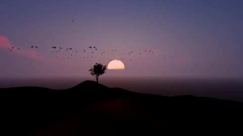 flock flying around a tree during sunset