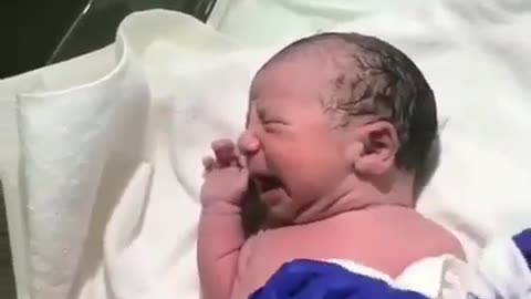 Cute Baby Video8
