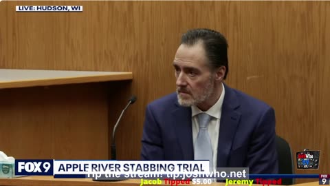 Apple River stabbing trial: Prosecution questions Nicolae Miu | I WAS RIGHT!!!