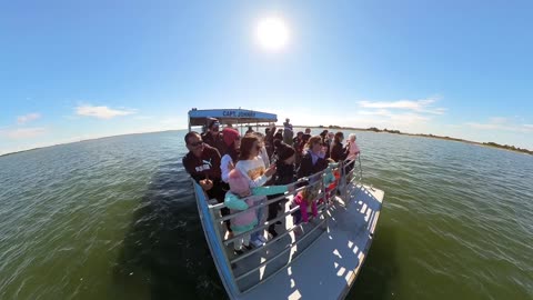 Outer Banks Dolphin Tour