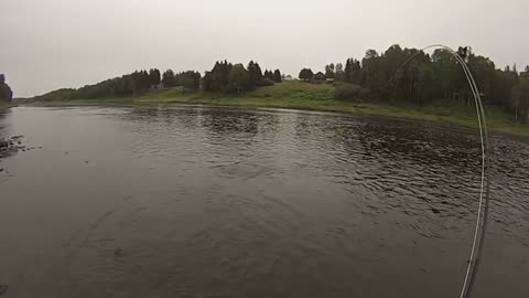 Curious Visitor While Fly Fishing