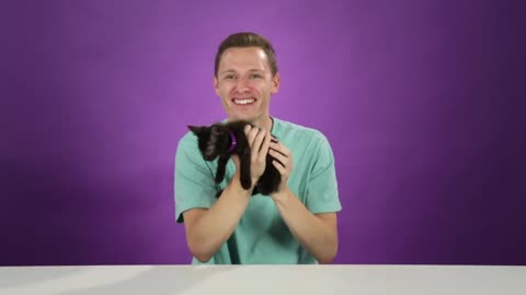 People hold Kittens for their 1st time