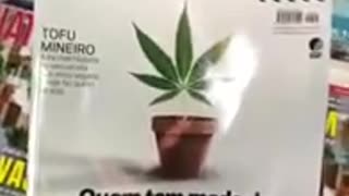 Globo fazendo propaganda de maconha?!