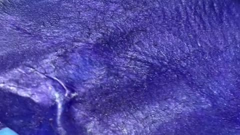 Smooth Underarm Waxing with Hypnotic Purple Seduction Hard Wax | Waxing Queen Adventures