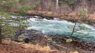 Hiking Beside Untamed Gorgeous Metolius River – Central Oregon