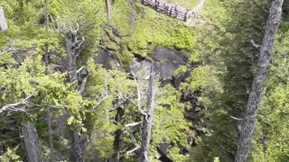 Narada Falls, Mount Rainier National Park, Washington 6/23/23